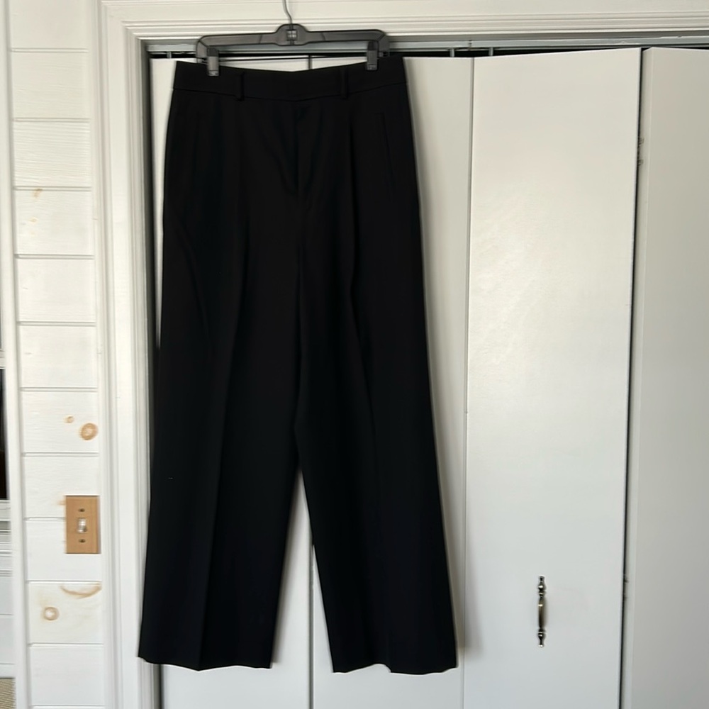 Everlane Way High Drape Pant